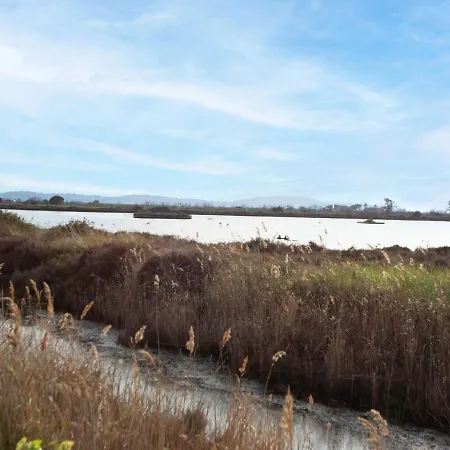 Cantegril By Interhome Hyeres